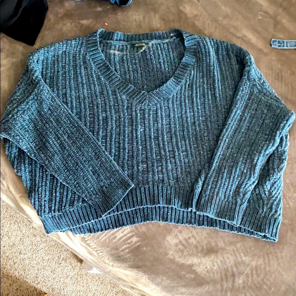 Wild fable crop sweater